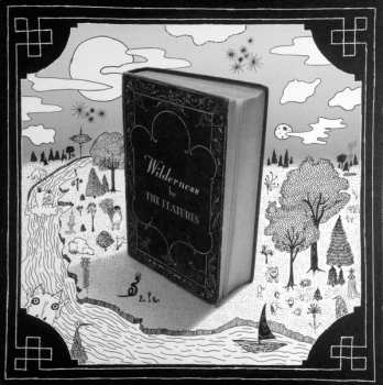 Album The Features: Wilderness