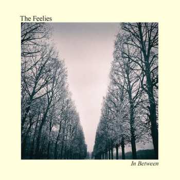 Album The Feelies: In Between 