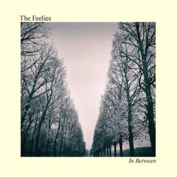 CD The Feelies: In Between  260642