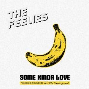 2LP The Feelies: Some Kinda Love: The Music Of The Velvet Undergrou 496272