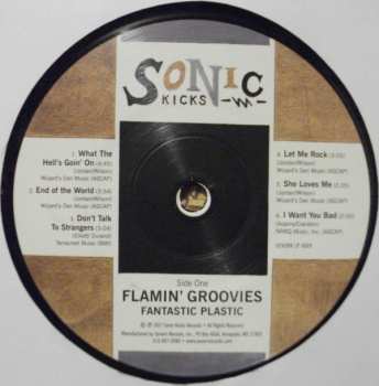 LP The Flamin' Groovies: Fantastic Plastic 319182