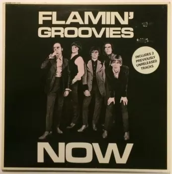 The Flamin' Groovies: Now