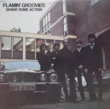 Album The Flamin' Groovies: Shake Some Action