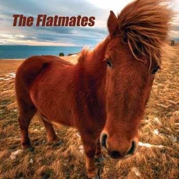 Album The Flatmates: The Flatmates