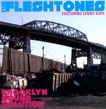 Album The Fleshtones: Brooklyn Sound Solution