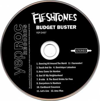CD The Fleshtones: Budget Buster 176712