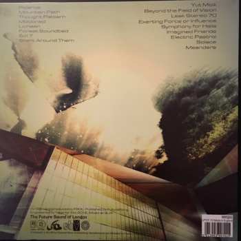 LP The Future Sound Of London: Environment Six 351004