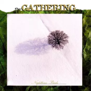 Album The Gathering: Nighttime Birds