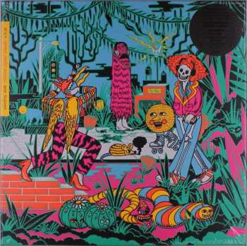 Album The Grateful Dead: Madison Square Garden '81, '82, '83