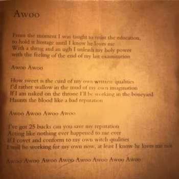 CD The Hidden Cameras: Awoo