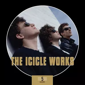 The Icicle Works: 5 Albums