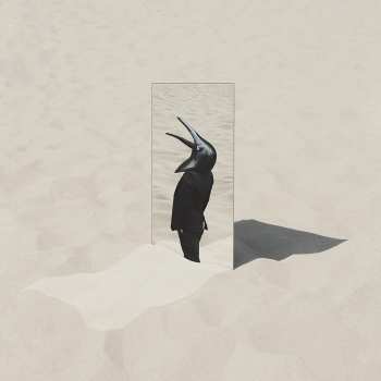 Album Penguin Cafe: The Imperfect Sea