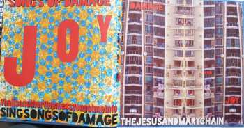 2LP The Jesus And Mary Chain: Damage And Joy DLX | LTD 289949