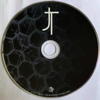 CD The Joy Thieves: This Will Kill That 228965