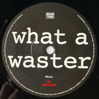 SP The Libertines: What A Waster / I Get Along 291320
