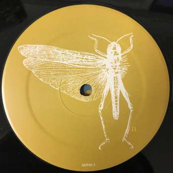 LP The Locust: New Erections 394448