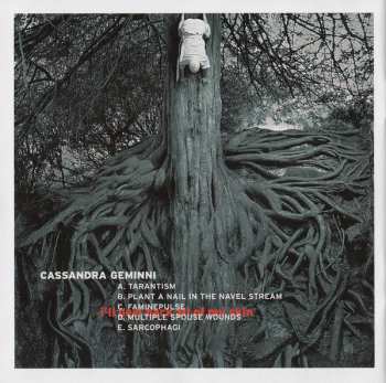 CD The Mars Volta: Frances The Mute 13280