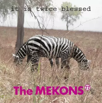 The Mekons: It Is Twice Blessed