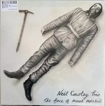 The Face Of Mount Molehill