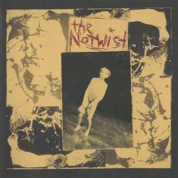 CD The Notwist: The Notwist 401648