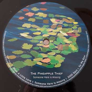 LP The Pineapple Thief: Someone Here Is Missing 140556
