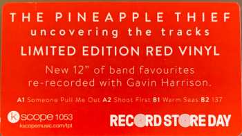 EP The Pineapple Thief: Uncovering The Tracks 233452
