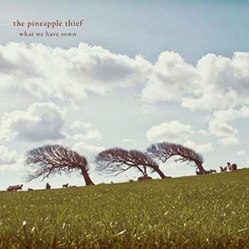 CD The Pineapple Thief: What We Have Sown 283124