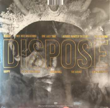 LP The Plot In You: Dispose CLR | LTD 509383