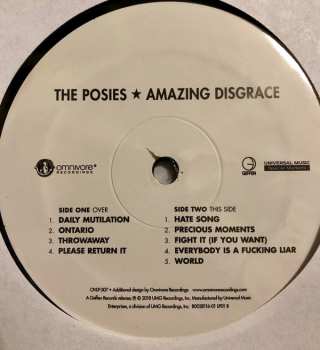 LP The Posies: Amazing Disgrace 313714