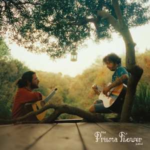 LP The Prisma Flower Band: The Prisma Flower Band LTD | CLR 464929
