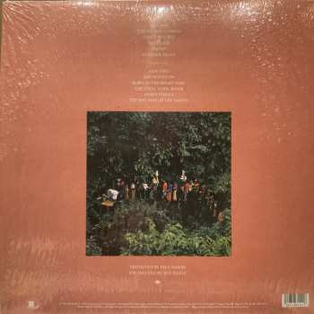 LP Paul Simon: The Rhythm Of The Saints 30480