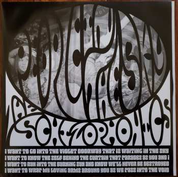 LP The Schizophonics: People In The Sky 86832