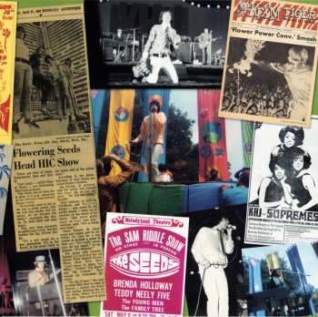 2LP The Seeds: Raw & Alive · Merlin's Music Box · The Seeds In Concert DLX