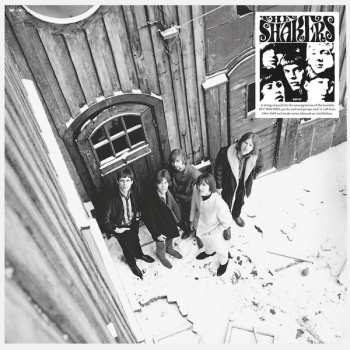 Album The Shakers: Tracks Remain