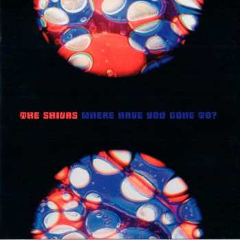Album The Shivas: Where Have You Gone To?