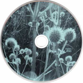 CD The Smashing Pumpkins: Monuments To An Elegy 120300