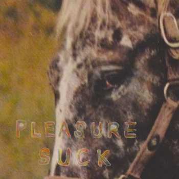 Album The Spirit Of The Beehive: Pleasure Suck
