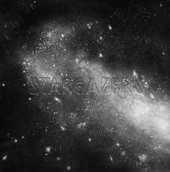 Album Stargazers: Stargazers