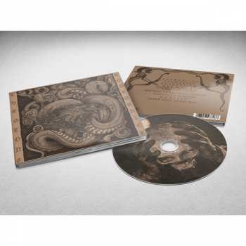 CD The Stone: Kosturnice LTD | DIGI 174082