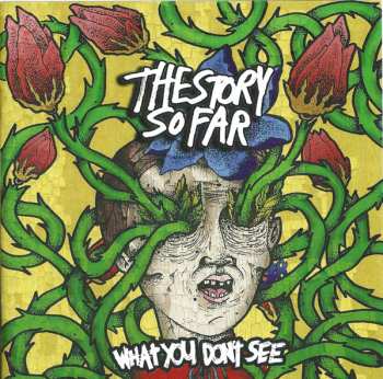 CD The Story So Far: What You Don't See