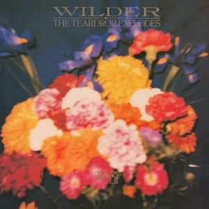 Album The Teardrop Explodes: Wilder