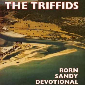 Album The Triffids: Born Sandy Devotional