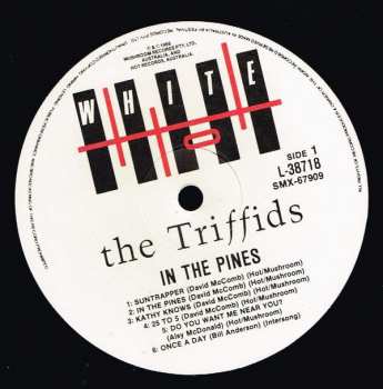 LP The Triffids: In The Pines 363078