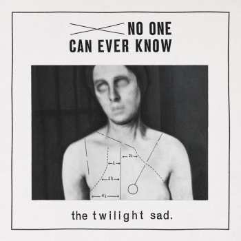 CD The Twilight Sad: No One Can Ever Know 25456