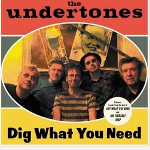 CD The Undertones: Dig What You Need 433711