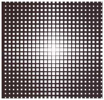 CD The Vacant Lots: Closure