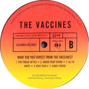LP The Vaccines: What Did You Expect From The Vaccines? 513329
