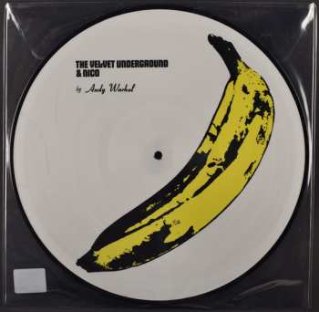 LP The Velvet Underground: The Velvet Underground & Nico PIC 38573