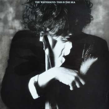 Album The Waterboys: This Is The Sea