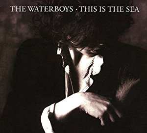 2CD The Waterboys: This Is The Sea 49559